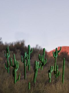 Cactus-Set 1, 12 Saguaro zum Bemalen H ca. 0,5 – 4 cm, 3D-Druck-Set